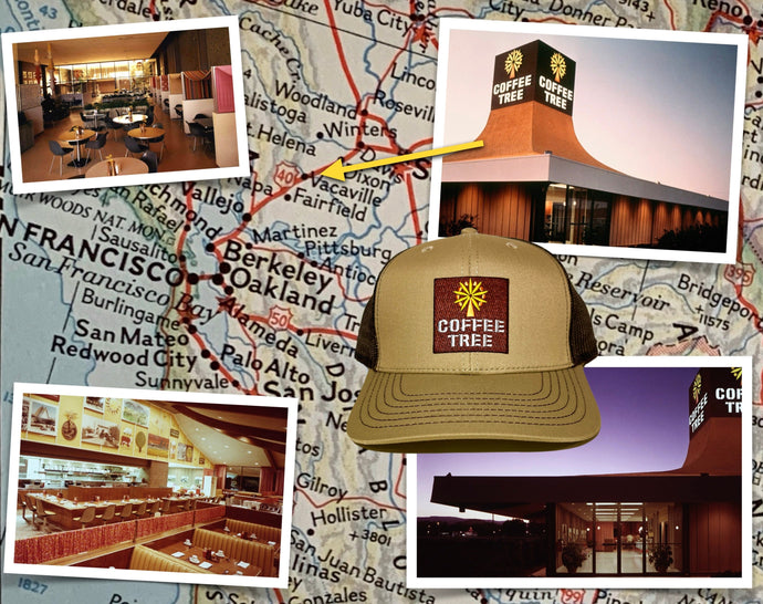 Vintage California Road Stops - Coffee Tree Vacaville, CA